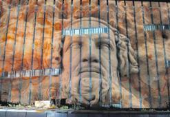 ‘Homeros toplumsal hafızanın taşıyıcısıydı’