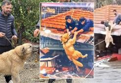 Paşa'yı canı pahasına korudu, o anları anlattı: Kaysam da yine tutardım