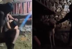 Mardin'de ahırda çocuğa işkence! Anne isyan etti