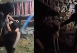 Mardin'de ahırda çocuğa işkence! Anne isyan etti