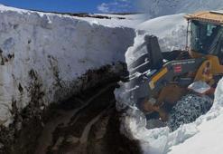 Kar kalınlığı 3 metreyi aştı! Beyaz kabus geri dönüyor, evler kara gömüldü