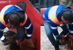 Polis, temizlik işçisi kılığına girip, suçüstü yaptı