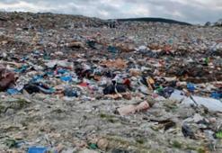 Kasabalı kötü kokudan perişan oldu, evlerin camlarına barikat çekildi! Mide bulantısı ve baş ağrısı şikayetleri arttı