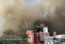Sakarya’da şekerleme fabrikasında yangın