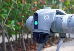 Hint Galgotias Üniversitesi, Çin yapımı robotu kendileri yapmış gibi gösterdi