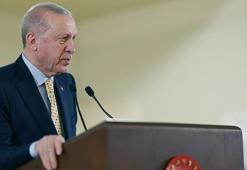 Şehit aileleri ile iftarda bir araya gelen Cumhurbaşkanı Erdoğan: 'Terörsüz Türkiye' çalışmalarında kayda değer mesafe alındı