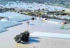 Buğday, arpa, kışlık sebzeler zarar gördü: Sağanak, tarım alanlarını vurdu