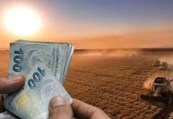 Tarım ve Orman Bakanlığı duyurdu: 129 milyon liralık destek bugün hesaplarda