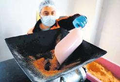 Can dostlara sağlıklı mama