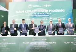 ‘Tarımda kefalet’ için 8 bankadan güç birliği