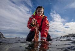 Türk bilim insanları Antarktika'daki araştırmalarıyla sağlık ve tarıma ışık tutuyor