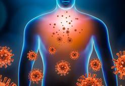 Mutfağınızdaki şifa deposu: İltihaba savaş açan antioksidan etkili 20 mucize besin