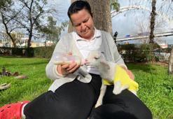 Annesi reddetti, o sahiplendi! 'Kuzu Naciye' salıncakta sallanıyor, misafirliğe gidiyor