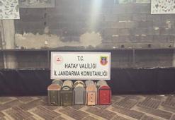 Hatay'da horoz dövüştüren 76 kişiye 990 bin 432 lira ceza kesildi