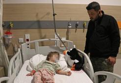 Yalova’da komşu dehşeti! Baba ve kucağındaki bebeğine saldırdılar