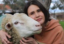 Sıra dışı bir plan: 2 senedir elime geçen her para ile inek, dana, koyun alıyorum