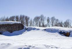 Kar geri geldi! Birçok kent beyaza büründü
