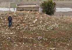 Amerika'dan Türkiye'ye geldi, 40 yıl kazdı! Vasiyet gerçekleşti