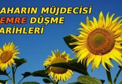 2. CEMRE DÜŞTÜ MÜ? BUGÜN MÜ DÜŞÜYOR?🌻 Baharın müjdecisi 2. cemre nereye düşecek? İkinci ve üçüncü cemre düşme tarihleri