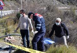 Antalya'da yol kenarında kadın cesedi bulundu