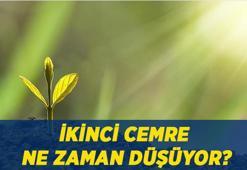 BAHARIN HABERCİSİ! 2. CEMRE NE ZAMAN DÜŞÜYOR? İkinci cemre ne zaman düşecek, cemre suya ne zaman düşer, hangi gün?