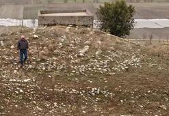 Amerika'dan Türkiye'ye geldi, 40 yıl kazdı! Vasiyet gerçekleşti