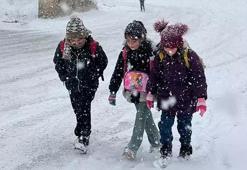 Eğitime kar engeli! İşte okulların tatil edildi il ve ilçeler...