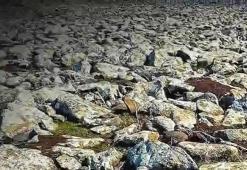 Şanlıurfa'da dev operasyon! Taşların altından cephanelik çıktı; işte ele geçirilenlerin listesi