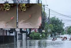 Turizm cennetinde korku dolu anlar! Sel sularının arasında devasa yılan görüntülendi