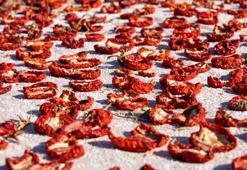 Kuru domatesi evde yapmak çok kolaymış! Markete gerek yok, kavanozlara doldurun