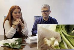 Pazardan aldığı ot, zehir çıktı! İlk lokmada fenalaştı: Çamaşır suyu içmiş gibi oldum