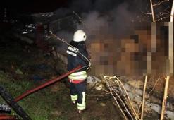 Ordu’da ahırda feci yangın! 27 büyükbaş hayvan telef oldu