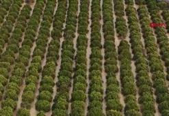 Antalya'da sel felaketinin faturası 3 milyar TL