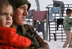 Köy boşaldı, onlar gitmedi! - 30'da 9 yıllık inat: Kimsenin cesaret edemediğini yaptılar