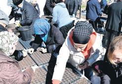 Bostanlarda yaz mesaisi