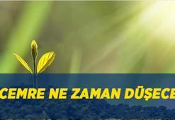 3. CEMRE İÇİN GERİ SAYIM! Üçüncü ve son cemre ne zaman düşecek? Baharın müjdecisi son cemre toprağa ne zaman düşer?