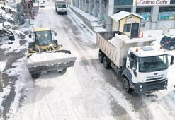 Sıcaklık artıyor dona dikkat!