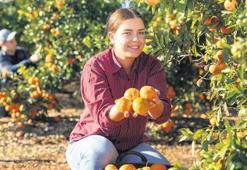 Çiftçi sayısı beş yılda 190 bin arttı