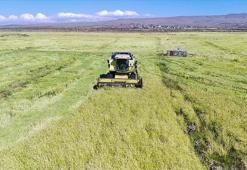 MAZOT GÜBRE DESTEĞİ ÖDEMELERİ SON DURUM: 2026 Mazot ve gübre desteği ödemeleri ne zaman yatacak?