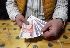 20 yıllık para koleksiyonu! Kumbarayla başladı, 600 parçalık tarihe dönüştü