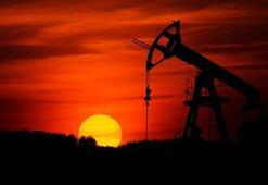 ABD'nin ticari ham petrol stokları arttı