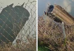 İran ordusu: Türkiye topraklarına füze atmadık