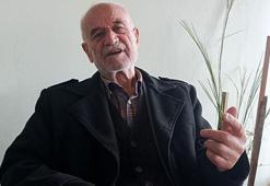 Adeta dolandırılmak için çırpındı! Emekli öğretmeni kurtaran şans silsilesi: Helal para harama gitmedi