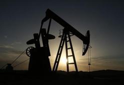 ABD'den Hindistan'a geçici Rus petrolü izni