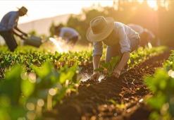 Gübre ham maddesi üre için ithalatta gümrük vergisi sıfırlandı