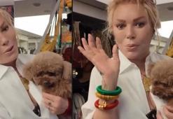 Köpeği AVM’de ortasında tuvalet yaptı iddiası! Semiramis Pekkan’dan açıklama geldi