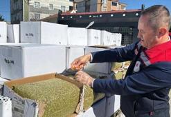 Bayram sofralarına gidecekti! Tonlarca aflatoksinli baklava fıstığı yolda ele geçirildi