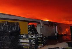 Antalya'da muz paketleme ve sarartma tesisinde yangın