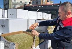 Bayram sofralarına gidecekti! Tonlarca aflatoksinli baklava fıstığı yolda ele geçirildi