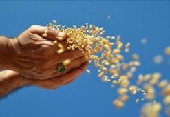 Türkiye'den 2 ayda 1,9 milyar dolarlık hububat ihracatı